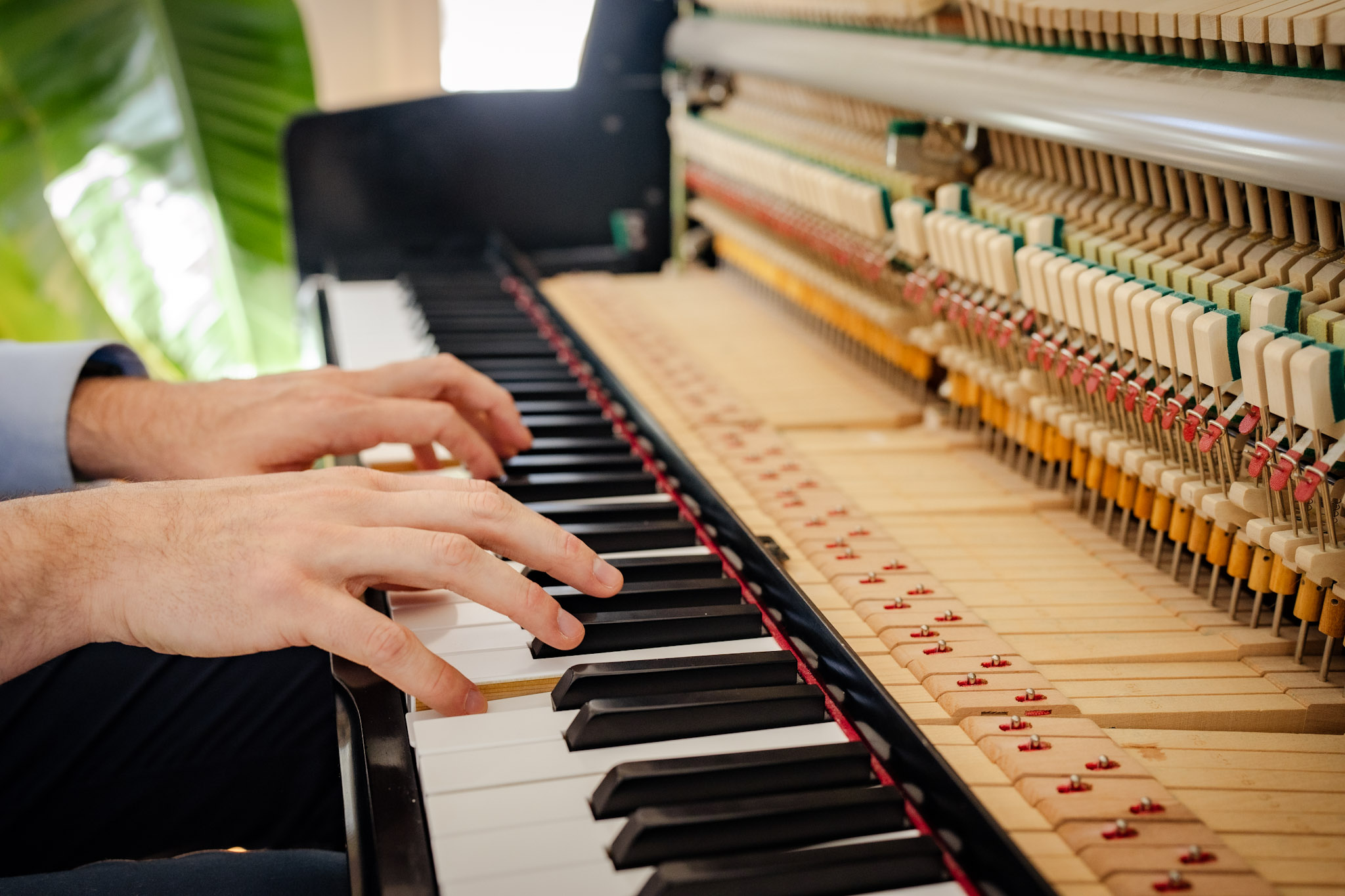 IMG_5013 Hands and keyboard